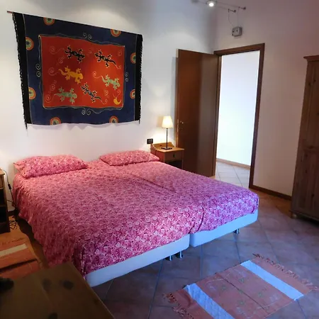 Rosmarino 2 Agra